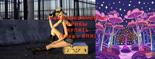 дурь Верхнеуральск