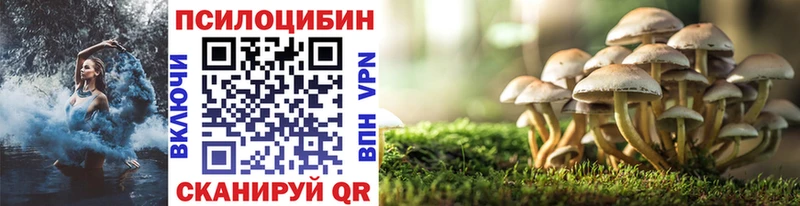 Галлюциногенные грибы MAGIC MUSHROOMS  Купить закладки  Краснокаменск 